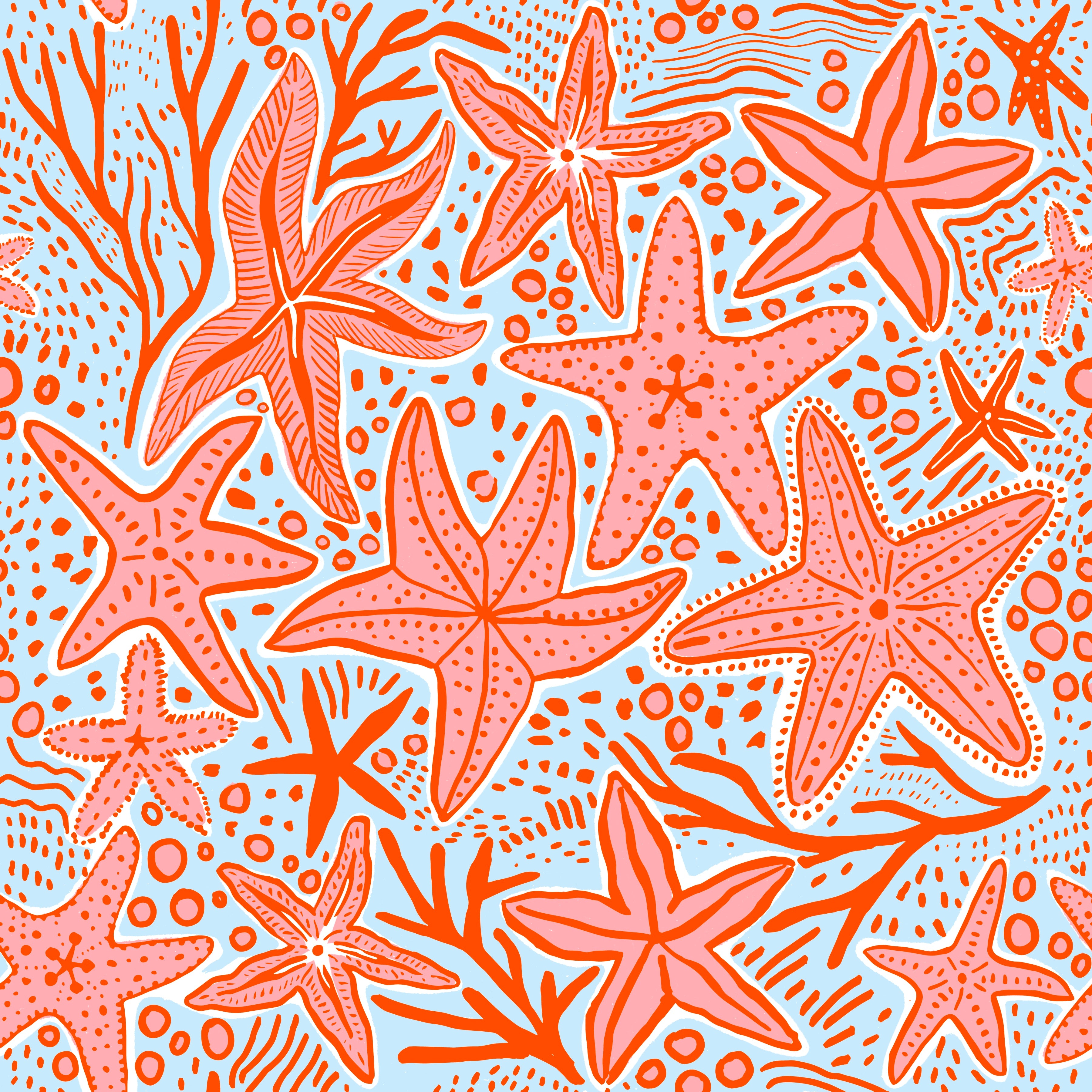 Starfish Amelia Set